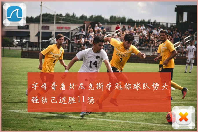 字母哥看好尼克斯夺冠称球队势头强劲已连胜11场