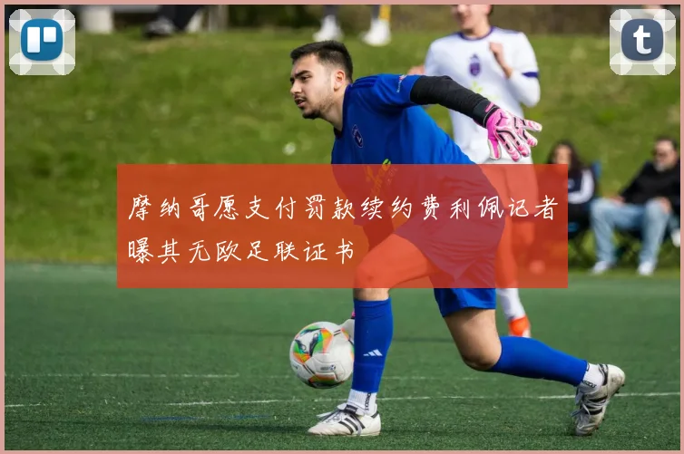 摩纳哥愿支付罚款续约费利佩记者曝其无欧足联证书