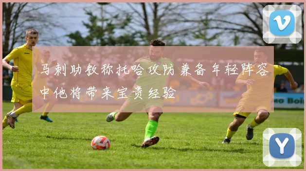 马刺助教称托哈攻防兼备年轻阵容中他将带来宝贵经验